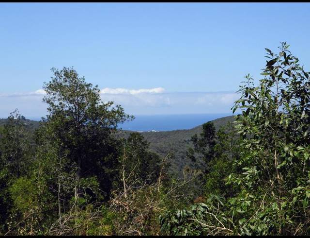 LAND FOR SALE IN HOEKWIL